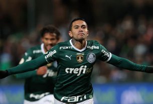 Nhận định Avai vs Palmeiras lúc 2h00 ngày 27/6/2022